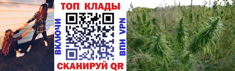 Купить ГЕРОИН  Меф мяу мяу  АМФ  Гашиш  Cocaine  Свободный