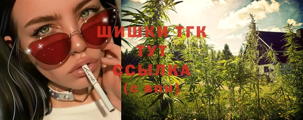 твердый Киреевск