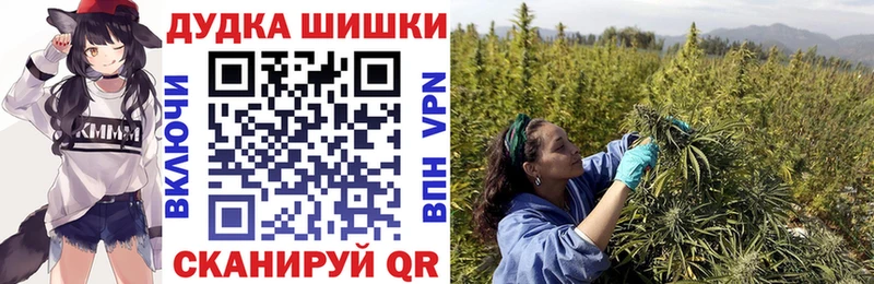 Купить где  Свободный  Марихуана Bruce Banner 